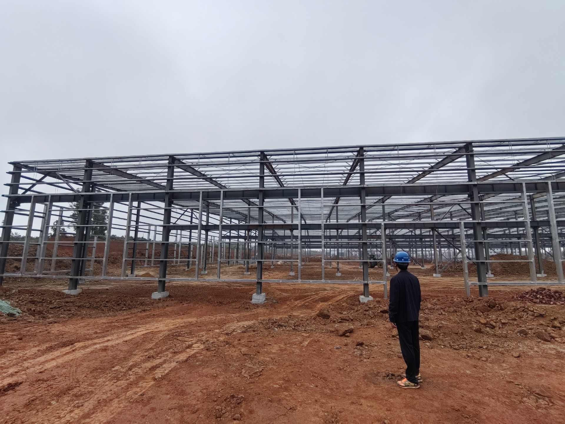 南側墻面檁條完成衡水鋼結構廠家金鼎鋼構